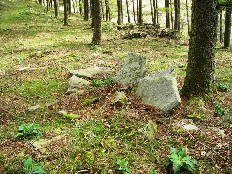 Larrakaitza  trikuharria