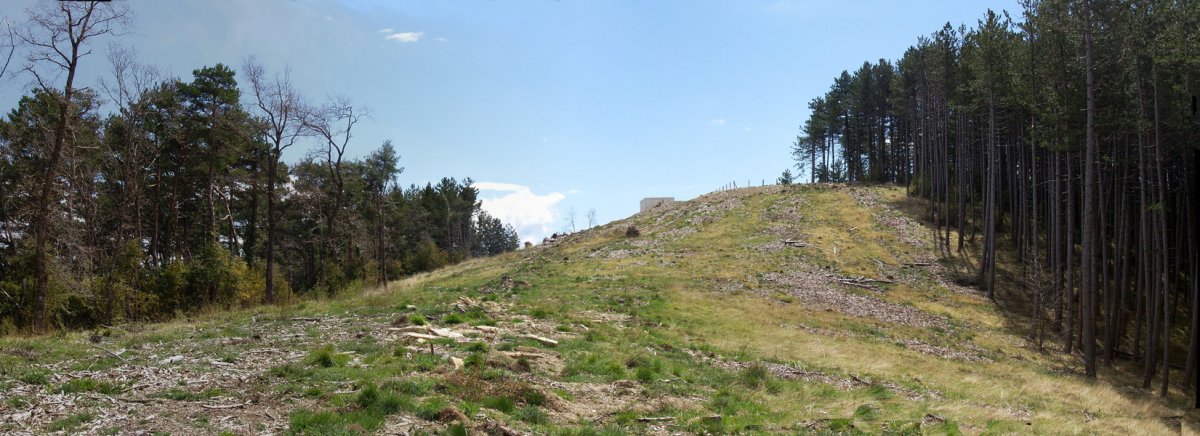 Quiñones gaina, suteen aurkako erretenak ebakia