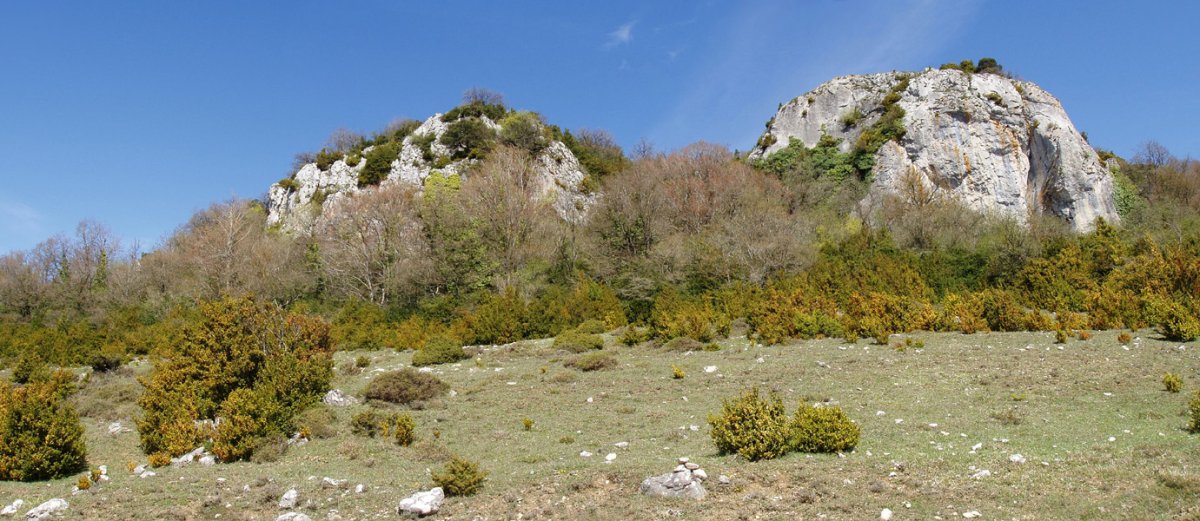 Potxako gailur bikoitza