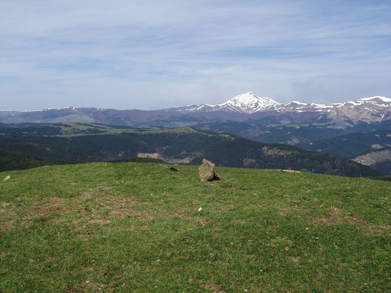Saitsederrako gailurra