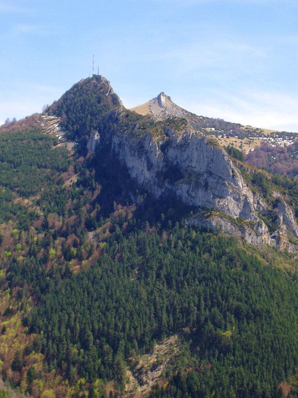 Larratza eta Ardibidepikua