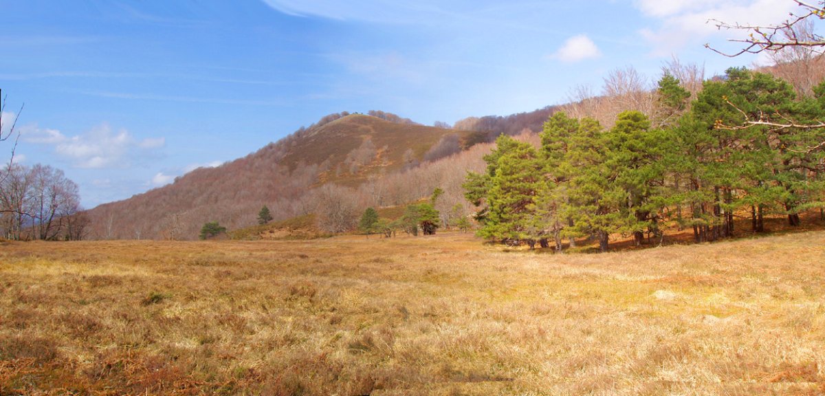 Zingira honi legokioke Apordoki izena ("Apo-ordoki")