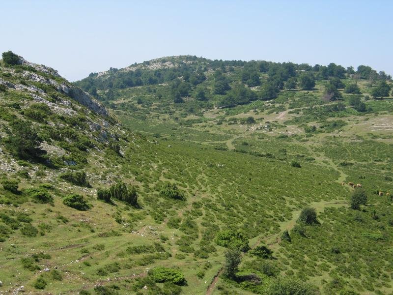 Hegoaldeko muturra Portillo aldetik