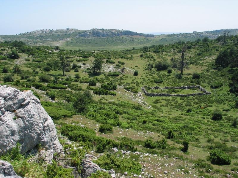 Crucijadas leporako bidea