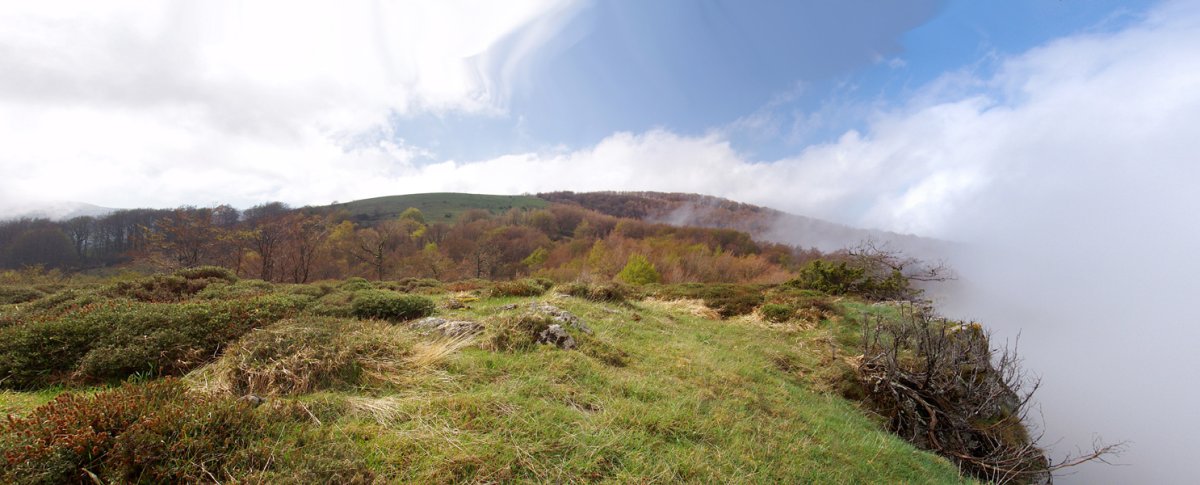 Arriedergaingo gailurra