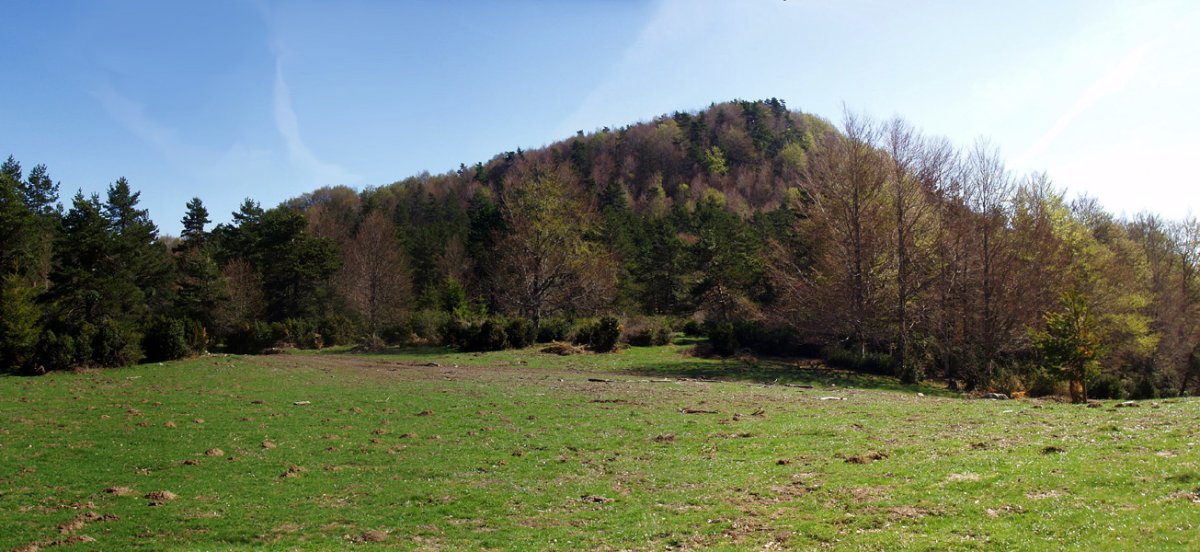 Menditxusia Kontingo harratetik