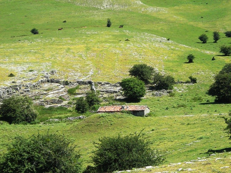 Entremedio txabola tumularra