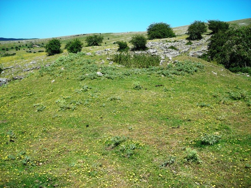 Entremedio txabola tumularra