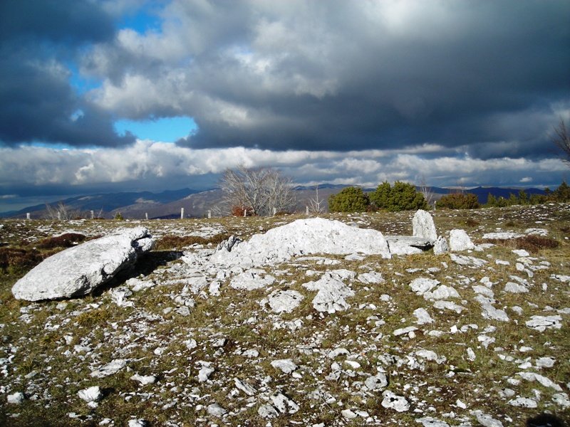 Etxarriko Portugañe 1 trikuharria