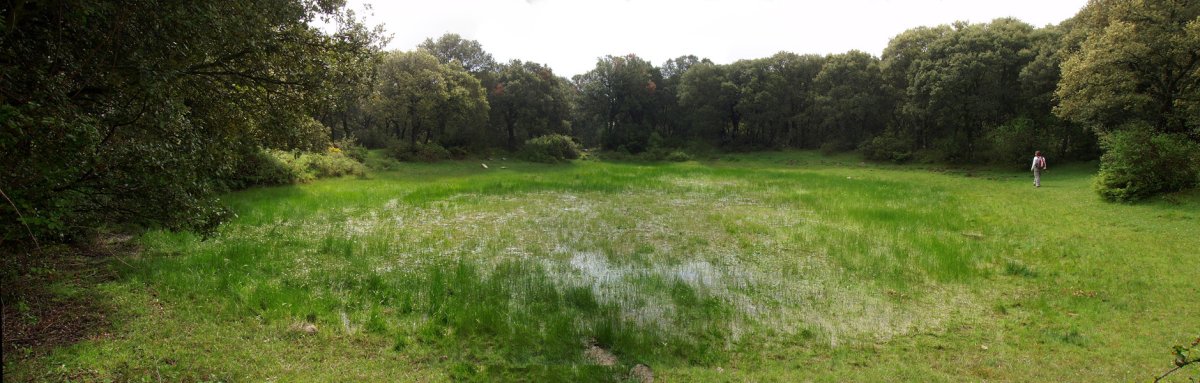 Ur putzua Eraulgo bidean