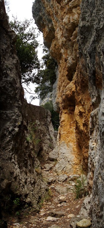 Lazkuako begiratokirako bide ederra