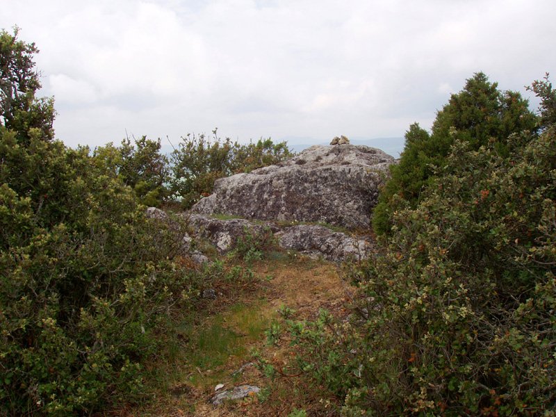 Bargagorriako gailurra