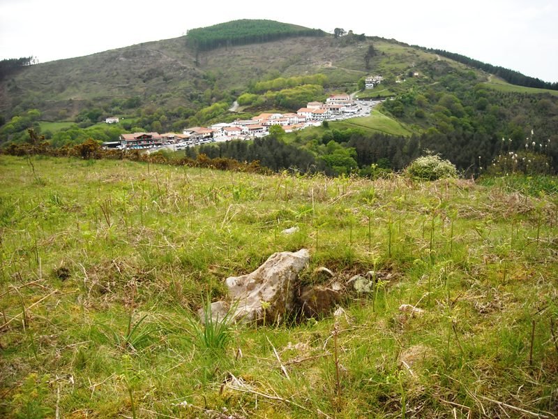 Erentzu mendebalde trikuharria