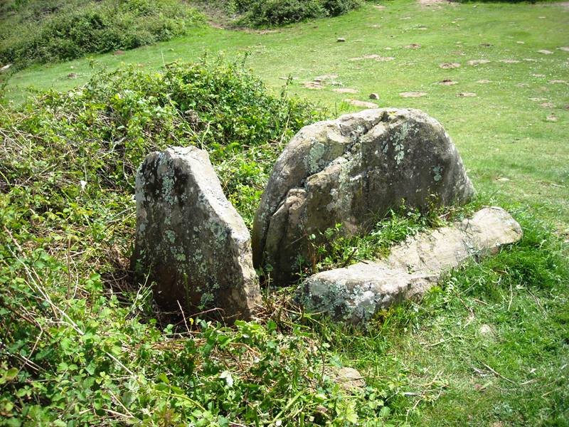 Deskargahandiko Lepoa trikuharria