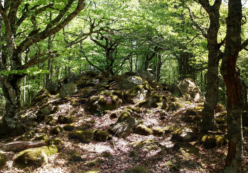 Garbitzeko gailurra (1073m)