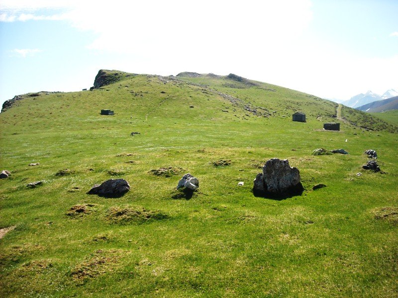 Millagate harrespilak