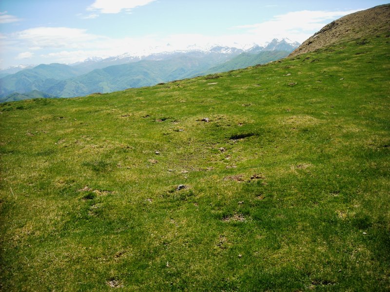 Organbideska harrespila