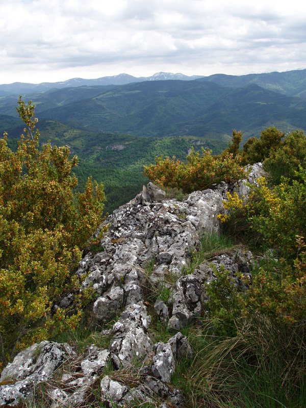 Santa Agedako gailurra