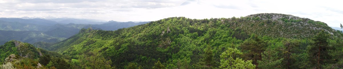 Alduko gandorrak Santa Agedatik