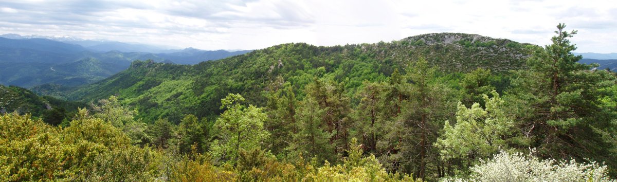 Alduko gandorrak Santa Agedatik