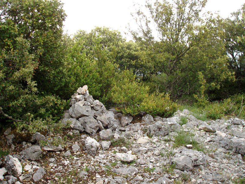 Oiakarizketako gailurra