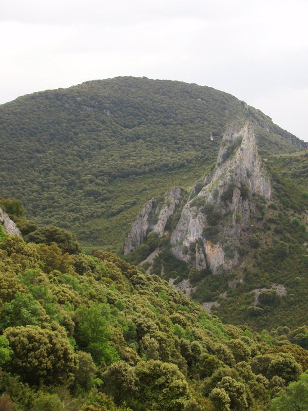 Oiakarizketa eta Peña Txikita