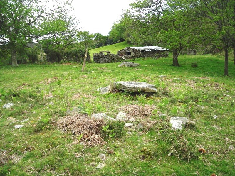 Argibele  IV trikuharria