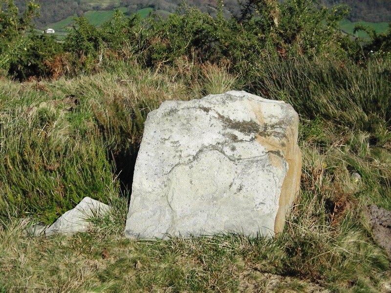 Gaztiñabakar IV trikuharria