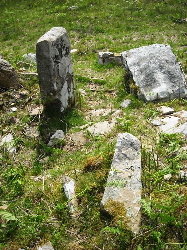 Faageko Erreka trikuharria