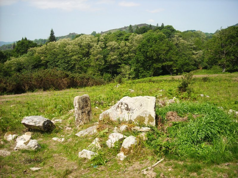 Faageko Erreka trikuharria