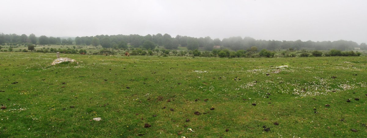 Arantzaduia eki eta mendebal