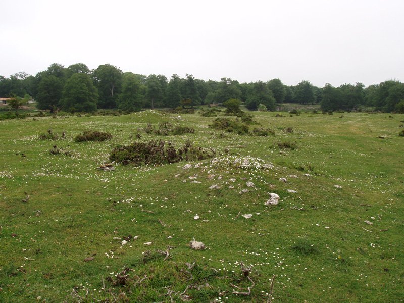 Arantzaduia, eremu tumularra