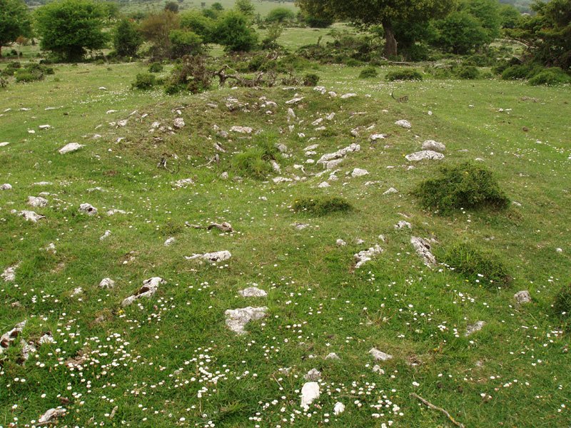 Arantzaduia, eremu tumularra