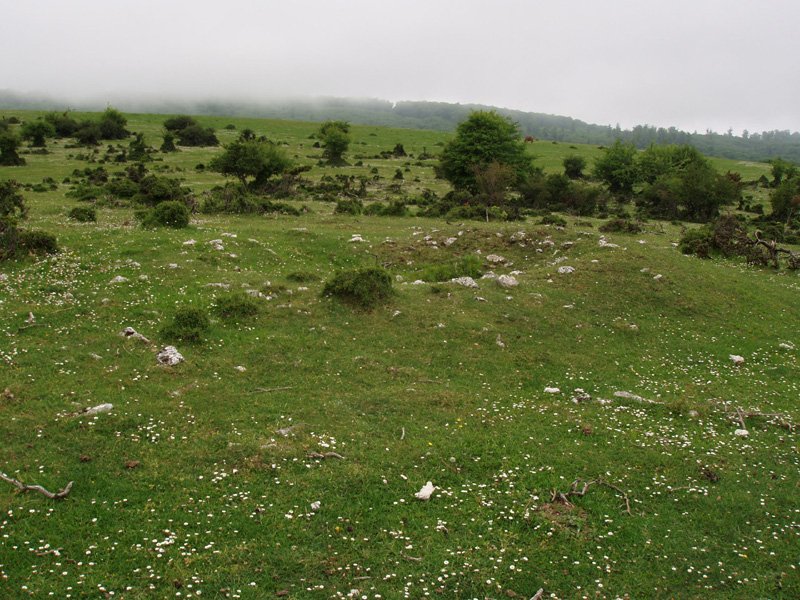 Arantzaduia, eremu tumularra