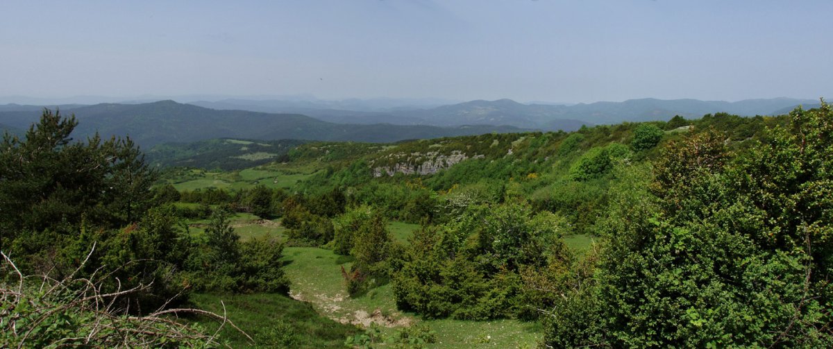 Ligarrietako gainaldea, Aintzioako bidetik