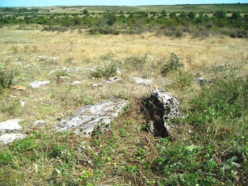 Itxasorde  trikuharria