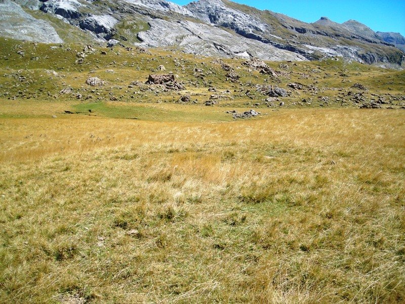 Plano Bajo Este tumulua