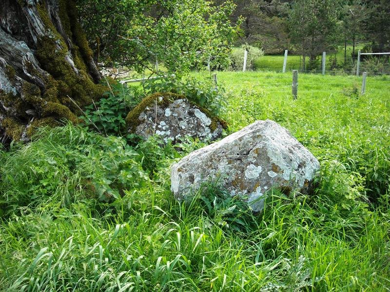 Lubrakieta trikuharria