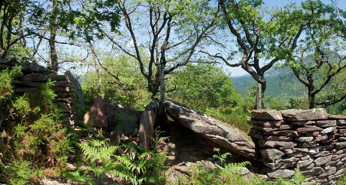 Otaltzu 1, Bertizko murruan sartuta