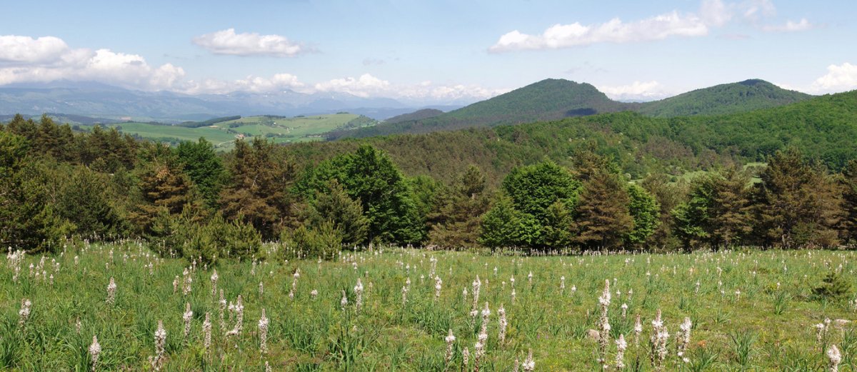 Panorama Erremendiako bidetik (Menditxusia eta Araxamendi ikusgai)
