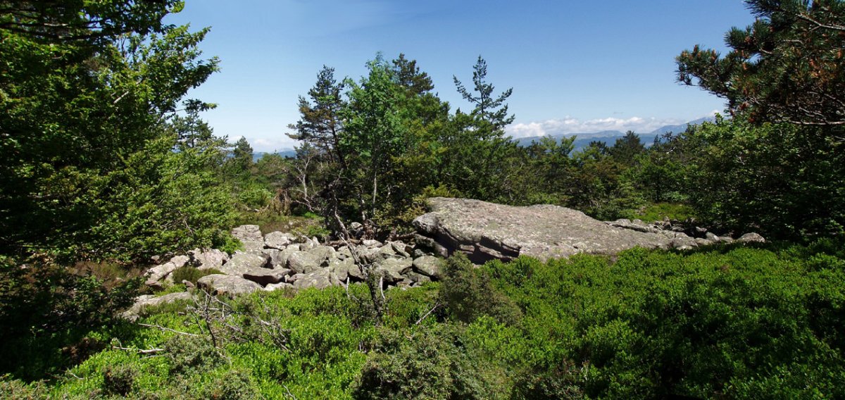 Urdinagako gailurra (1445m), Baigurako aurregailur bat.
