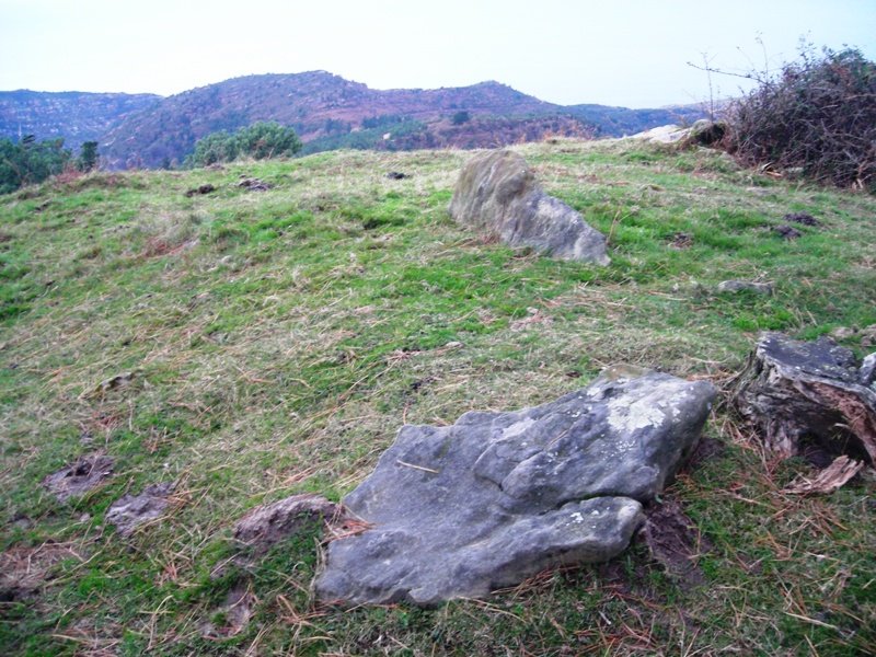 Atxiñar trikuharria