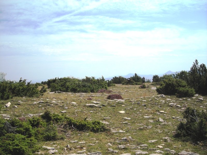 Mugartxondoa tumulo de anillo