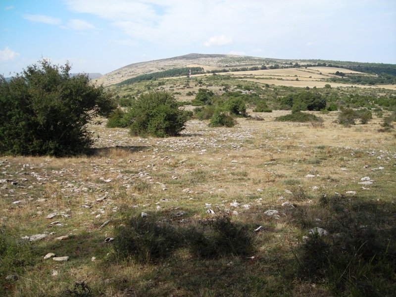 Itxasorde tumulo de anillo