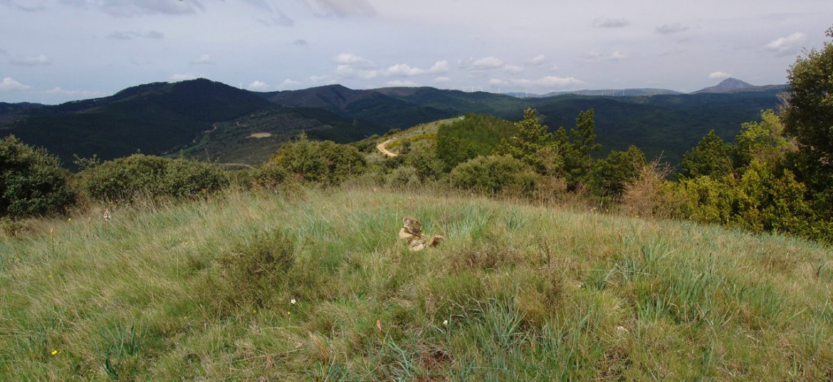 Azterain (beste mapa batzuetan Larrasoil) , 859m