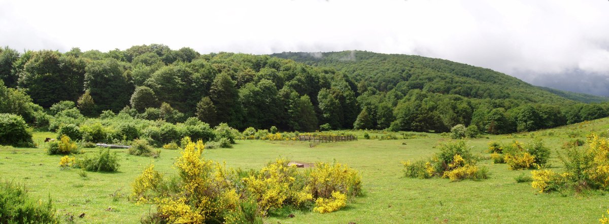 Bizkailuzko "bizkar luzea" Egiluzeako maldetatik