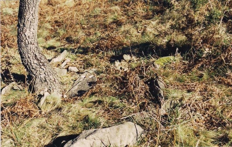 Otaltzu 2 trikuharria