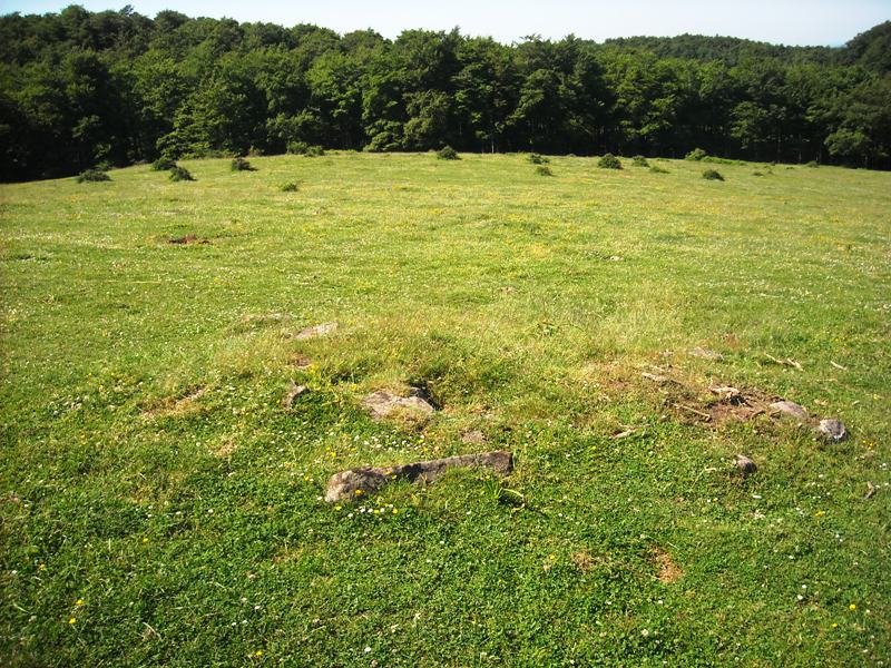 Buabakar eremu tumularra