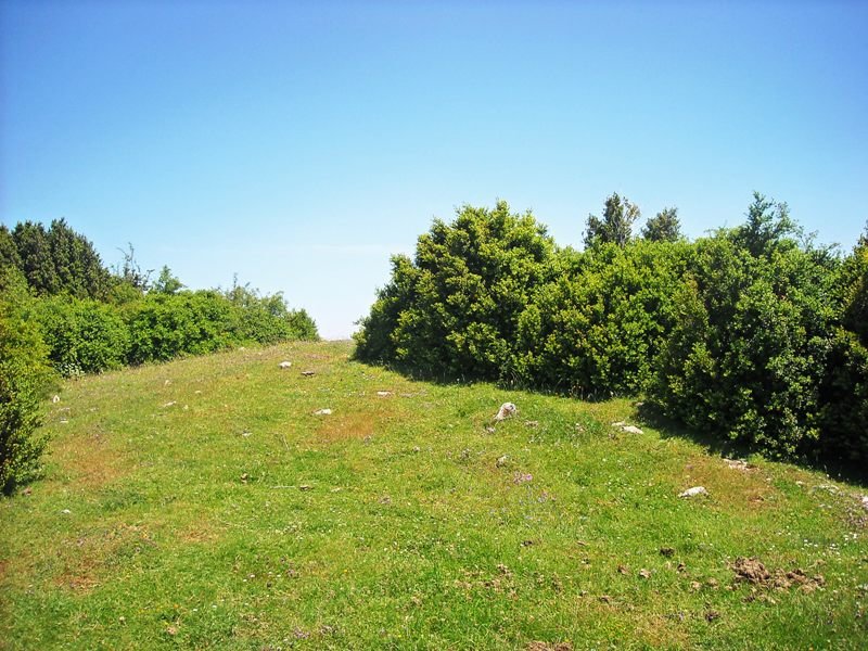 Zanaz  2  trikuharria