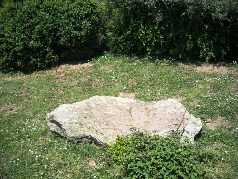 Zanaz  2  trikuharria